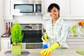 Cleaning Services